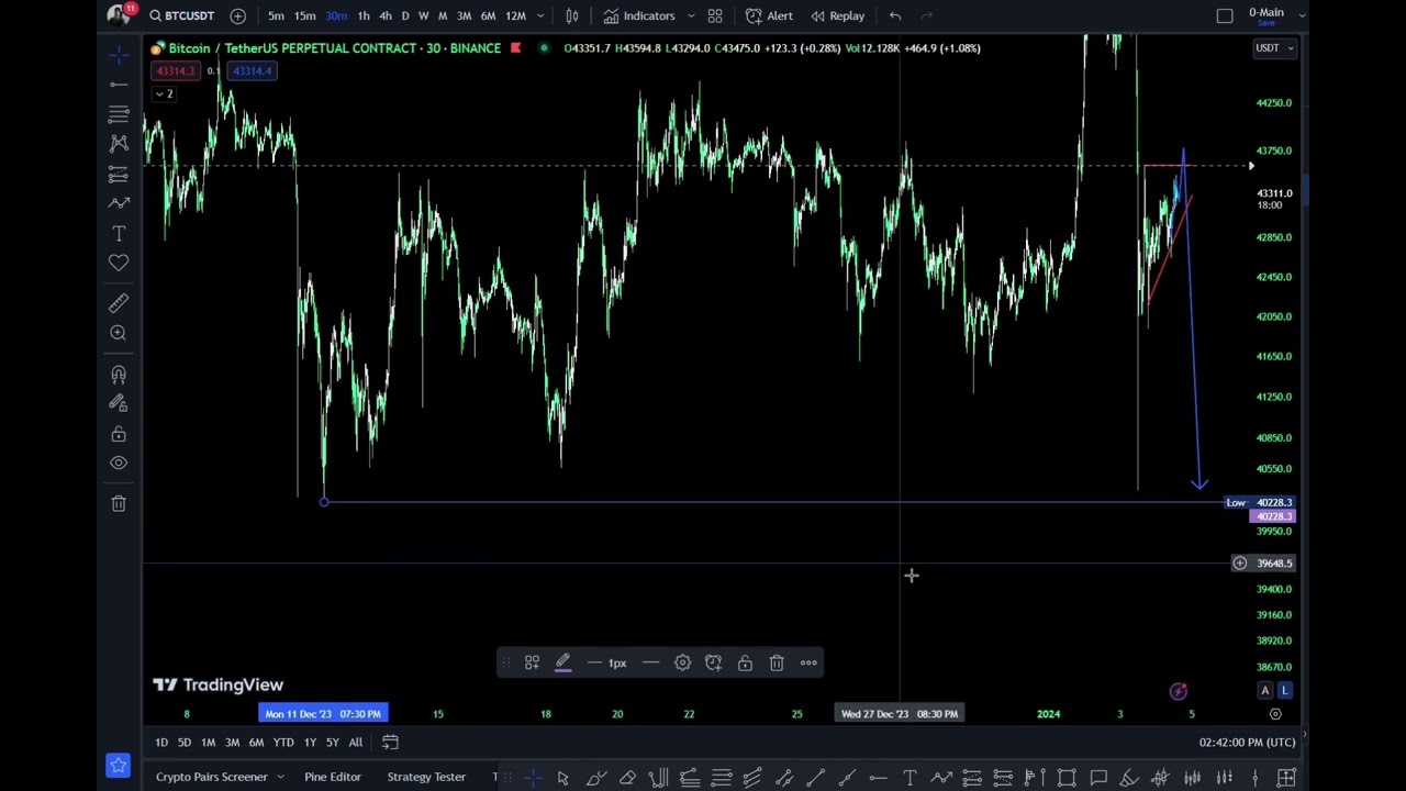 Bitcoin Chart Analysis: A Guide to Understanding BTC Trends | First Video Dive into Crypto Analysis!