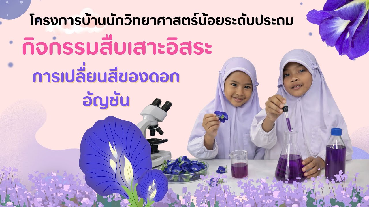 การเปลื่ยนสีของดอกอันชัน