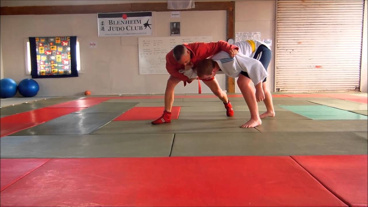 MONITOR DE SAMBO, ESPAÑA