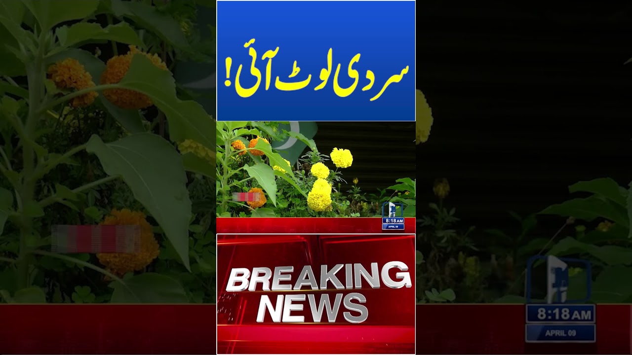 Trending News Today! #lahorenewshd #breakingnews #viralvideo #viral #shortsfeed #shorts