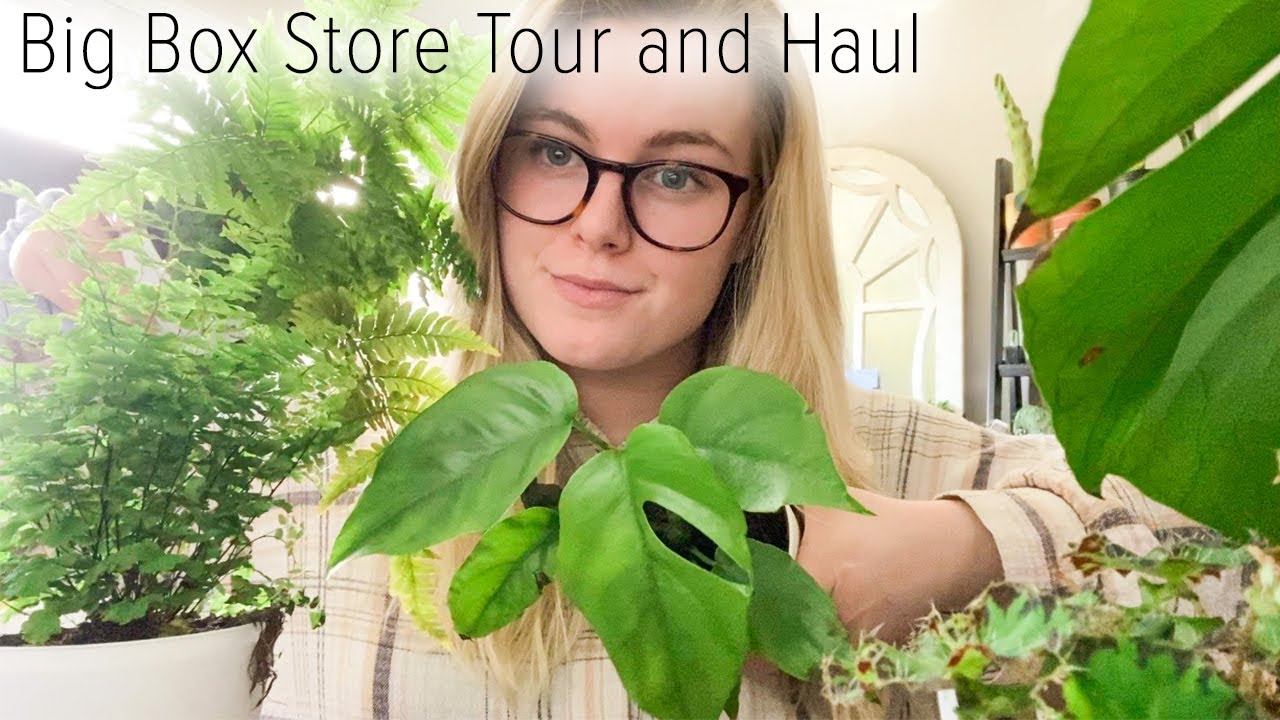 Big Box Store Tour & Haul! Plant Shopping at Grocery Store for 21 Day Quarantine