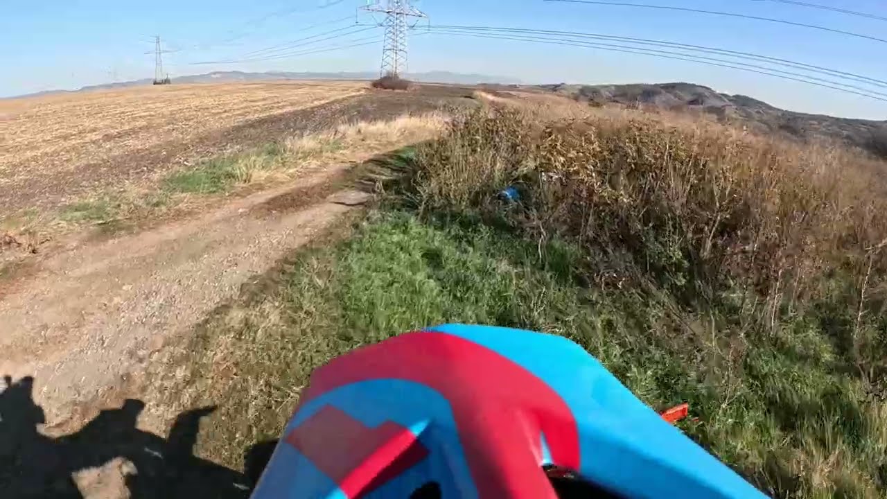 Don`t ride alone in the forest!!