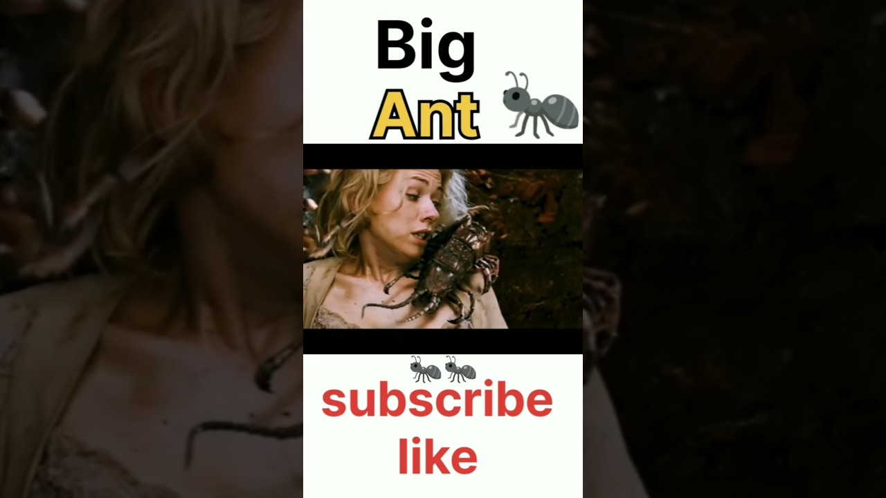 Big Ant Danger Ant🐜/ 