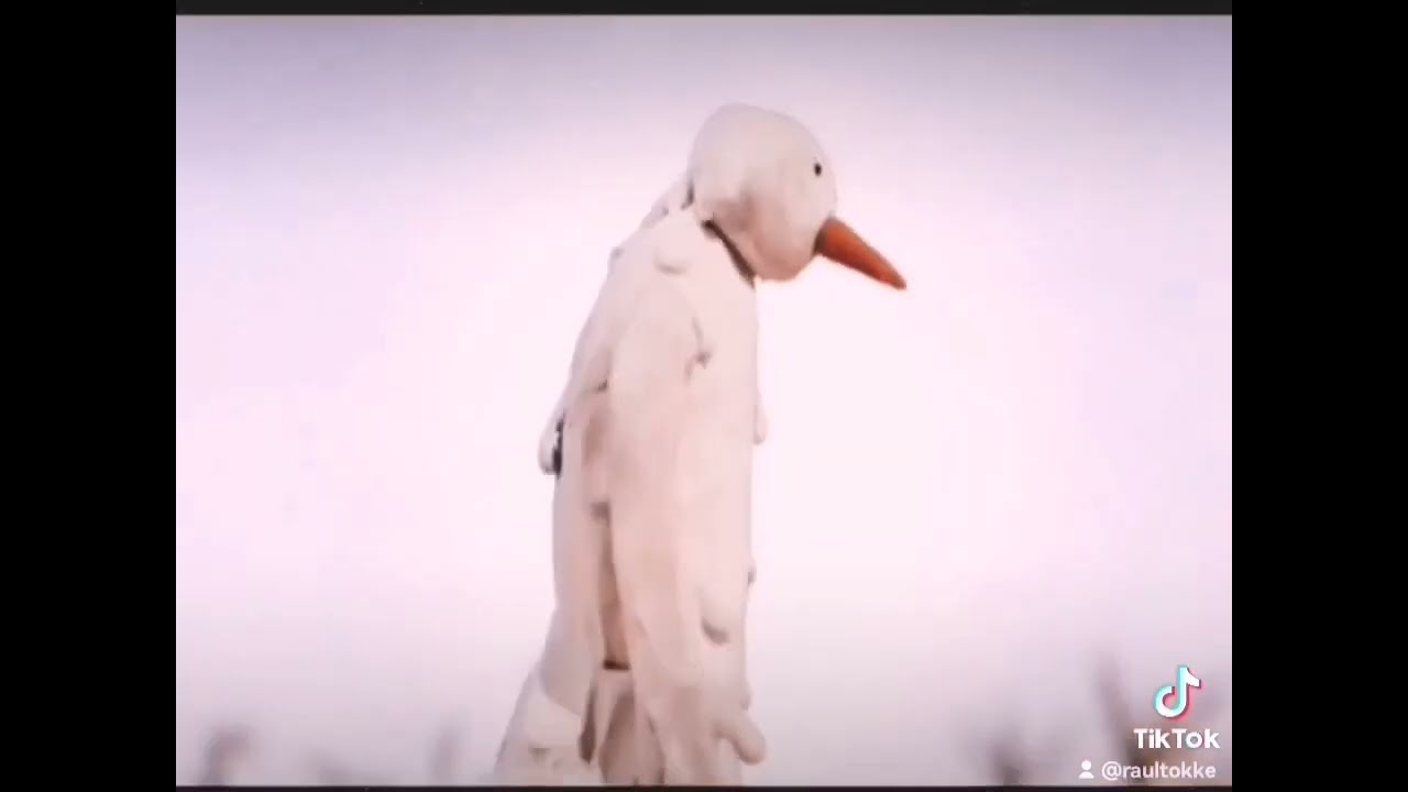 Hanepojad (lumi tuli maha ja valgeks l&auml;ks maa) - INDILOOP.