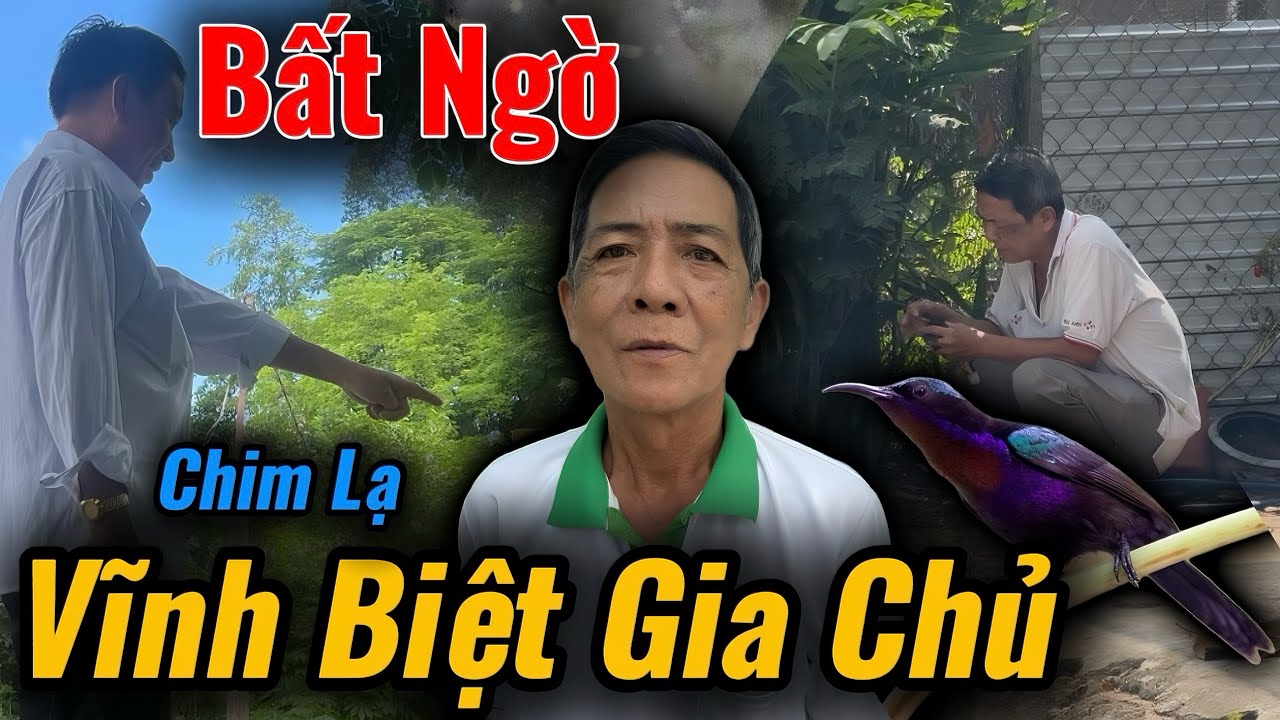 Bất Ngờ, Chim Lạ Về Vĩnh Biệt Gia Chủ Chú Út Thông Báo Chuyện Này