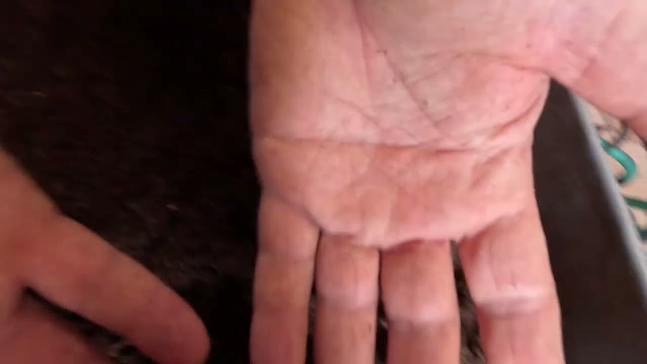 Solul organic in care facem insamantarea pentru rasaduri