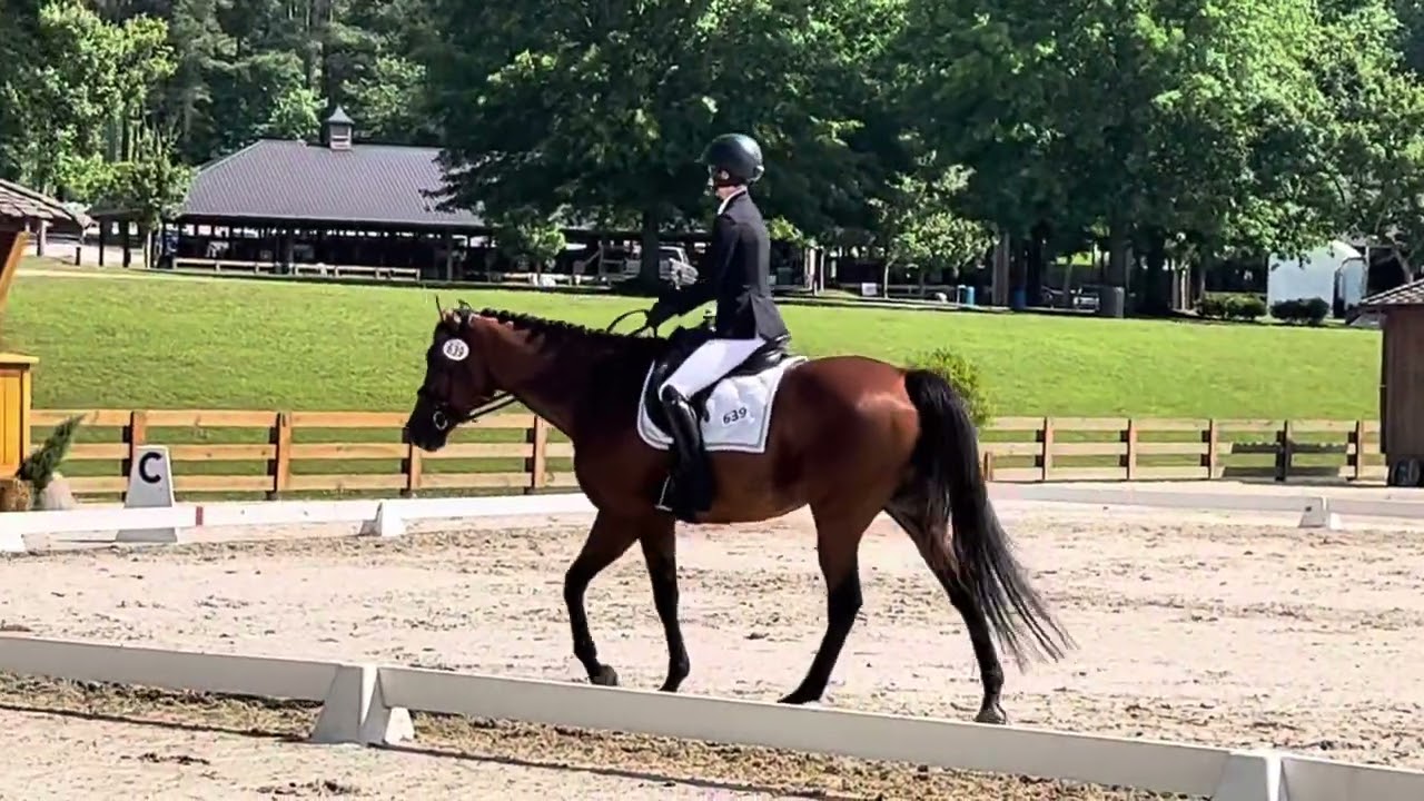 USDF Training Level Test 3 May 25, 2024