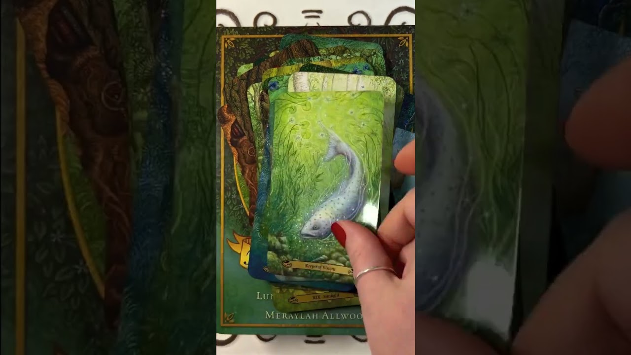 Tarot of Enchantment 60 Second Full Deck Flip Through #tarotcards #tarot #tarotdeck