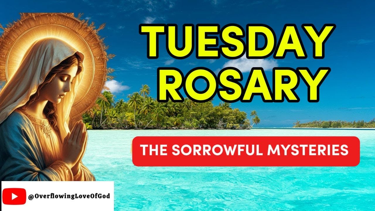 Rosary Today | Sorrowful Mysteries of the Holy Rosary LIVE | Tuesday Rosary Prayer