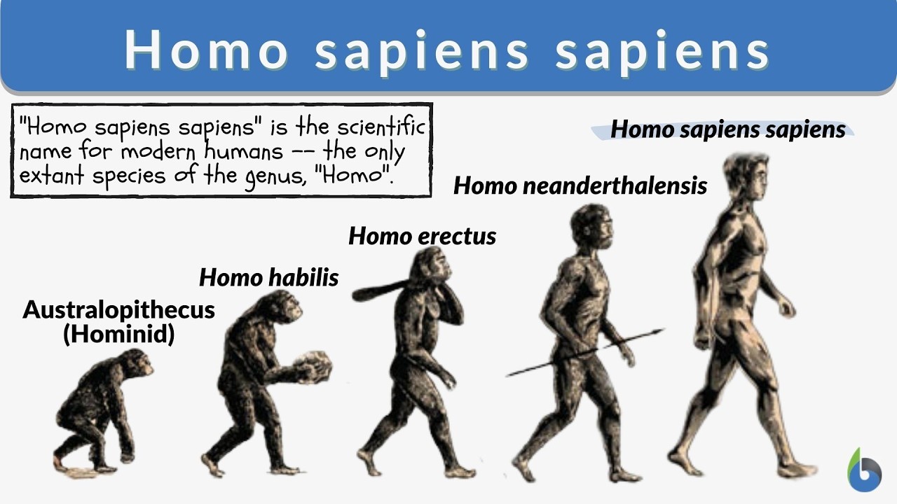 Homo Sapiens et la Politique