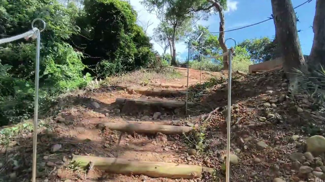 新埔犁頭山(Litoushan)與文山步道(Wenshan Hiking Trail)遊記_從蓮華寺走犁頭山步道與文山楓香步道的P字路線