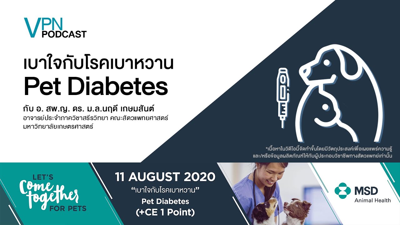 VPN Podcast EP.26 - เบาใจกับโรคเบาหวาน Pet Diabetes