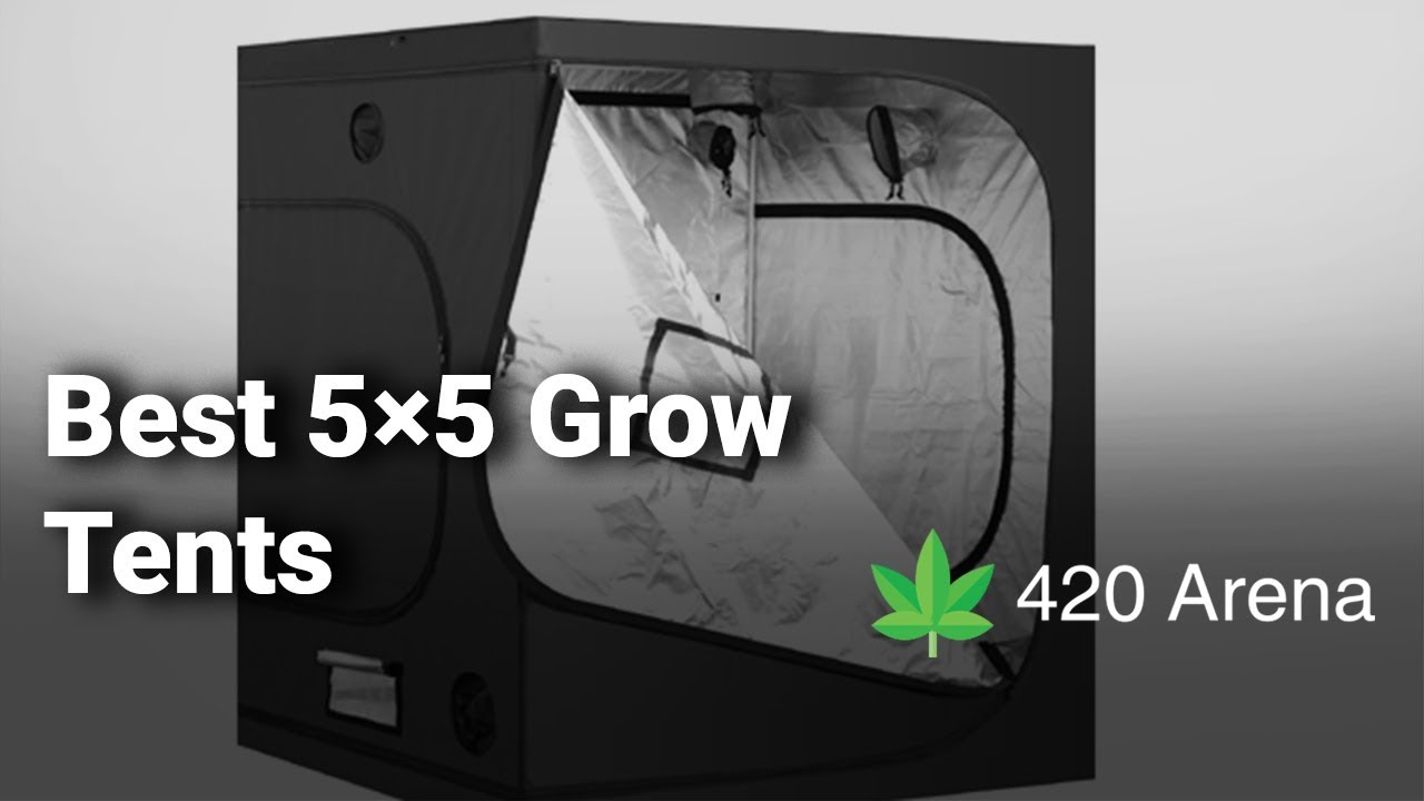 Best 5&times;5 Grow Tents 2019: Complete Reviews with Features & Details