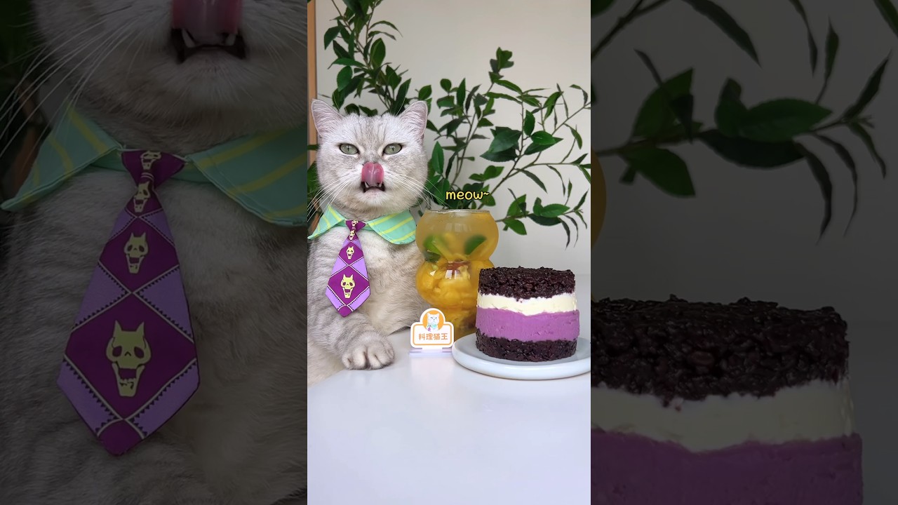 Summer Mix😋: Pineapple Tea & Purple Rice Cheese!🍍🍸 #catsofyoutube #foodlover #tiktok