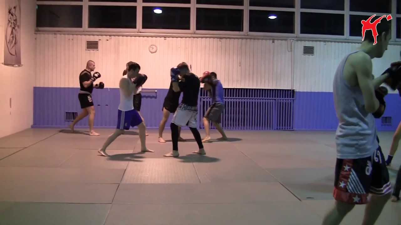 Trening Kickboxingu na AWF Warszawa