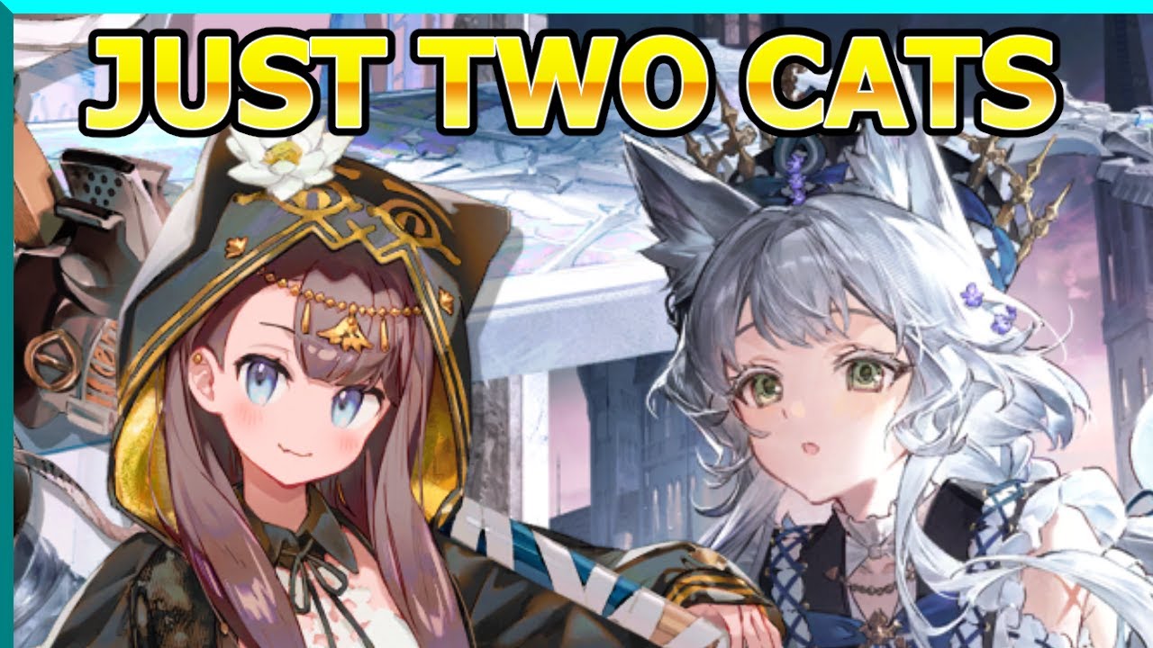 How many cats to beat cat?