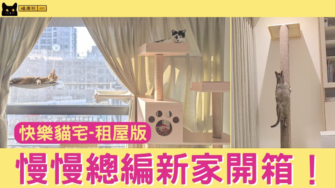 租屋族的快樂貓宅怎麼做？貓跳台＆貓走道怎麼設計？慢慢總編新家開箱！