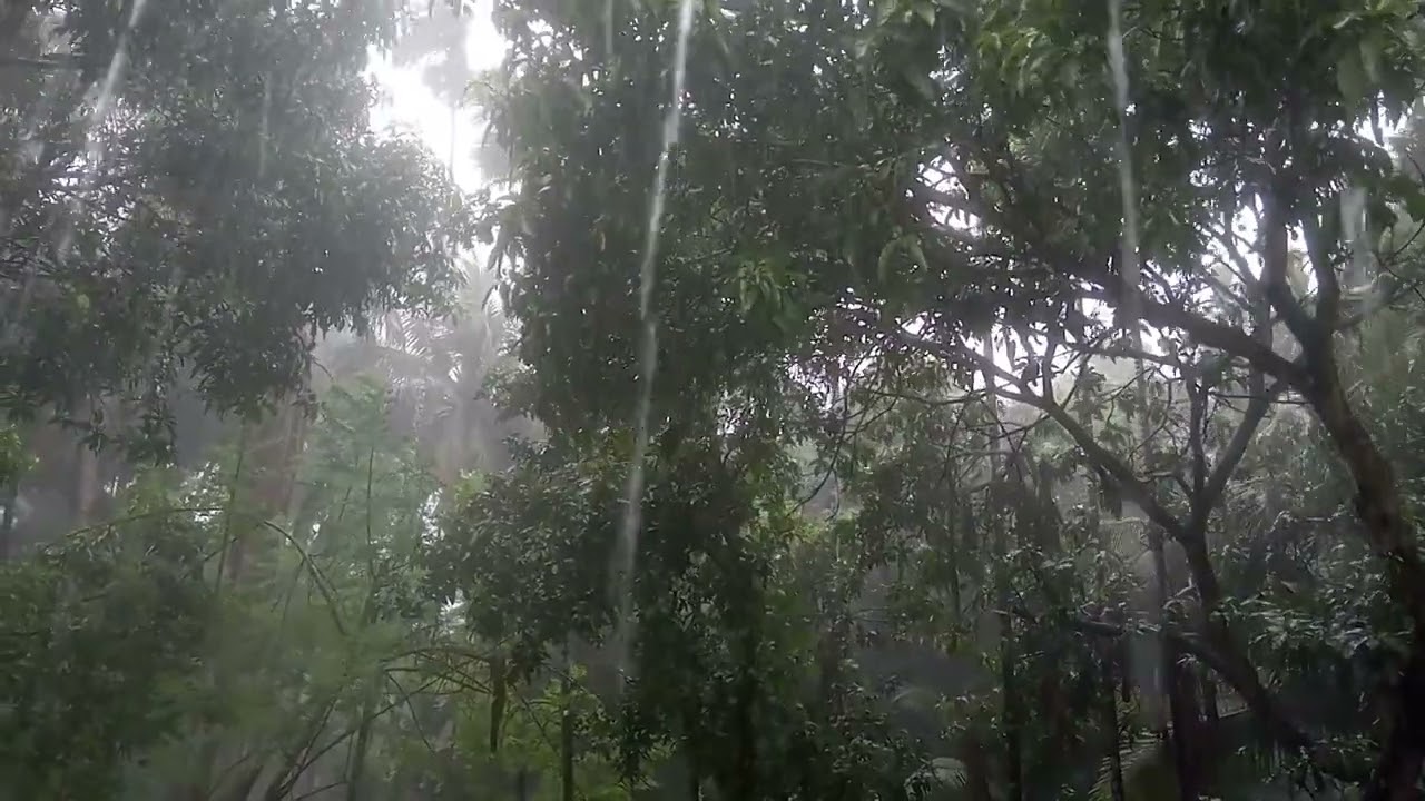 Heavy Rains. Crop Fields are Flooded. Farmers are Facing Serious Losses.
