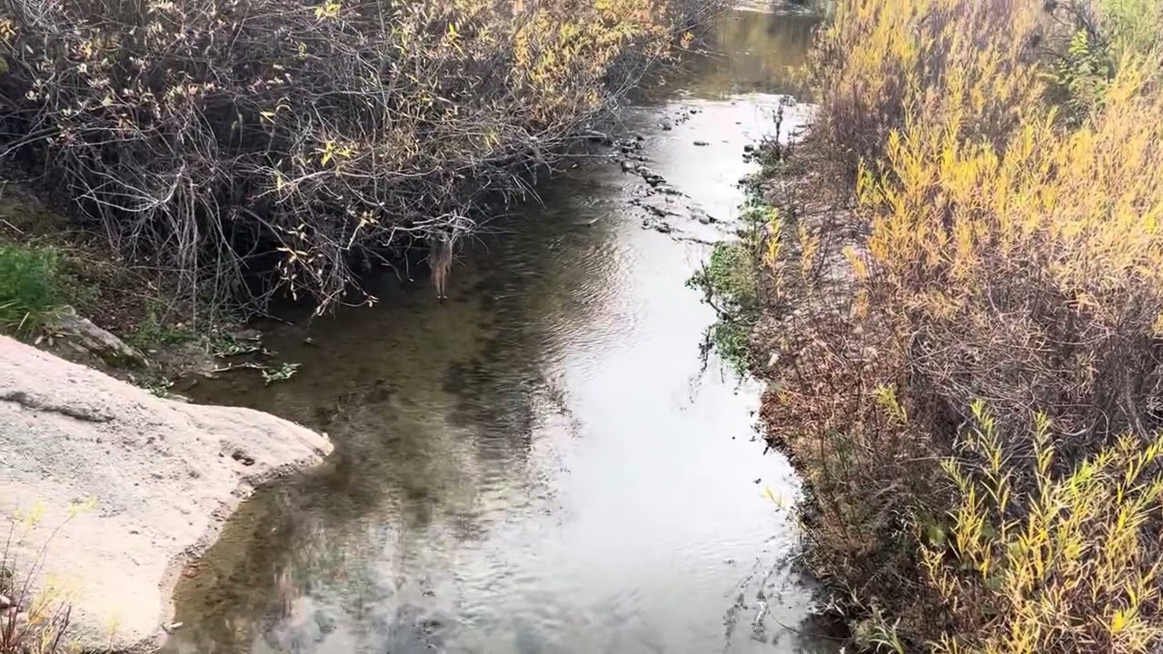 Castlewood Canyon Park
