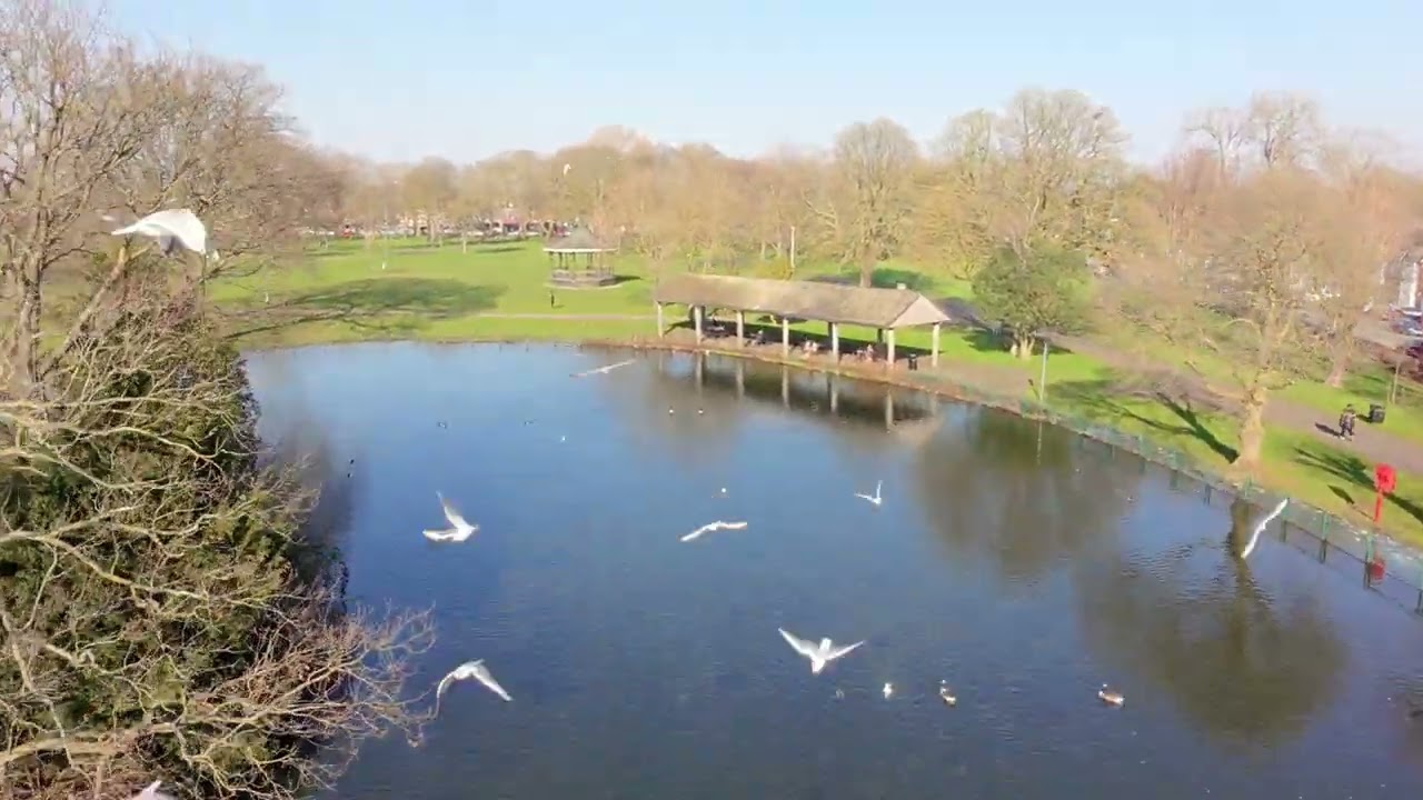 Dont Fly Over Water ! 🫡😎 DJI NEO