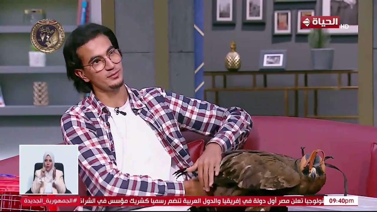 عقاب وذئب في الاستديو😱 ..صانع المحتوى محمد وجيه: أنا عايش في بيت لوحدي مع كل الحيوانات دي