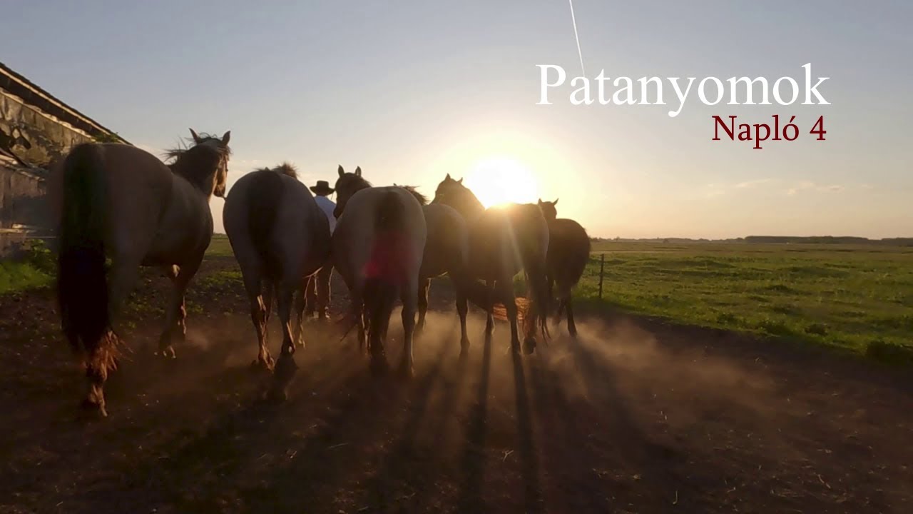 Patanyomok - Napló 4
