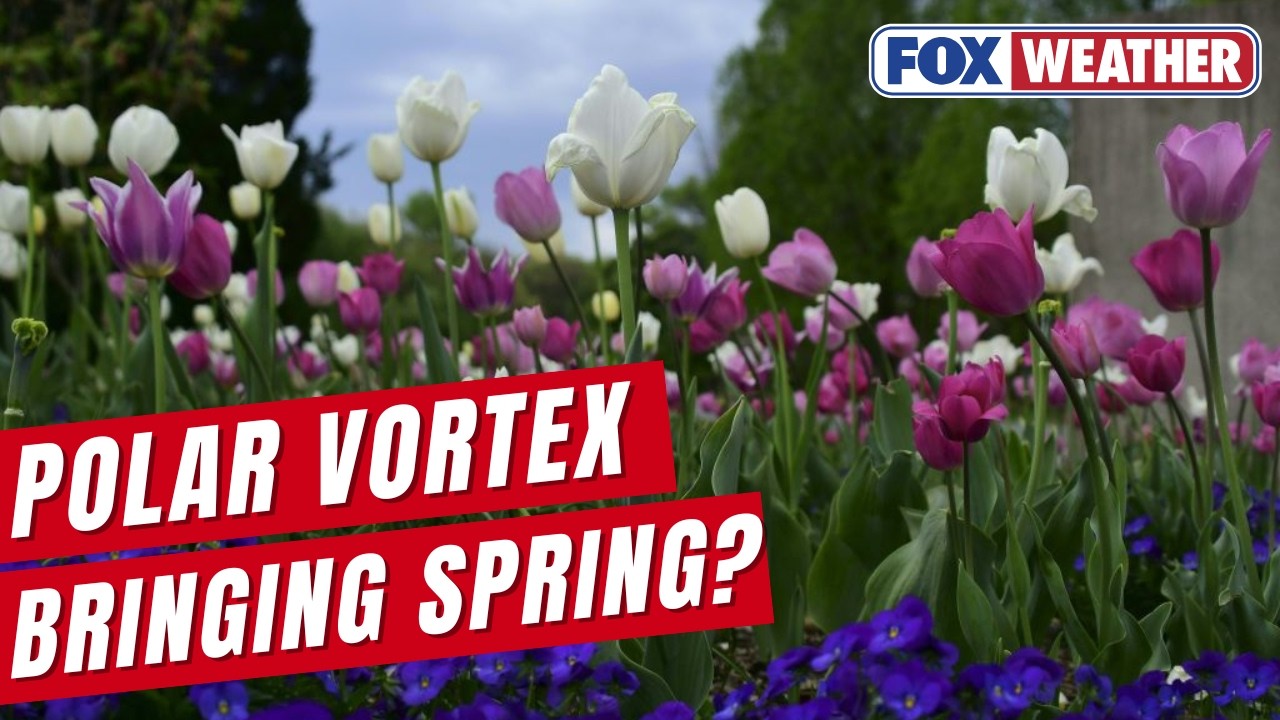 Split In Polar Vortex To Actually Drive Spring Warmup