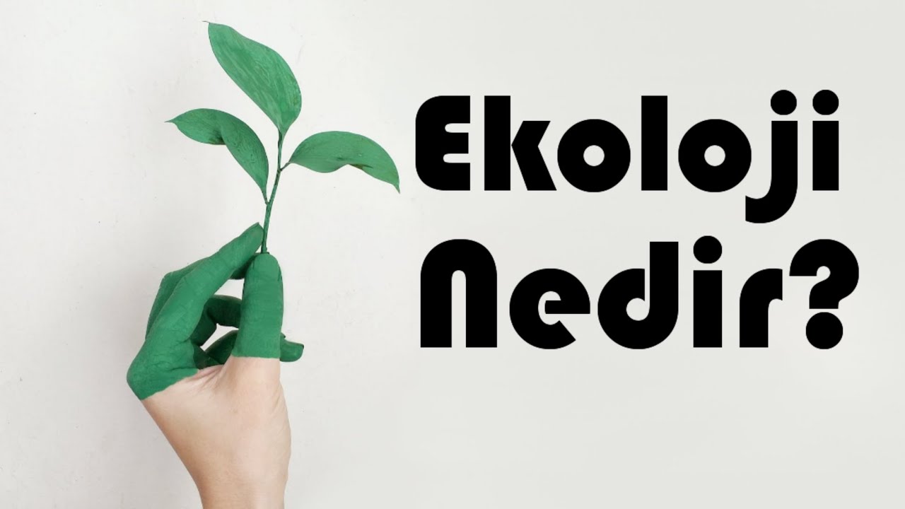 Ekoloji Nedir?