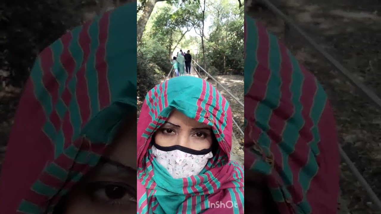 সুন্দর বন যাবার ভিডিও #সুন্দরবন #মংলাবন্দর 