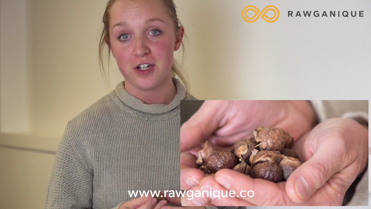 100% Organic Soapnut - One Ingredient Detergent And Cleaner Rawganique