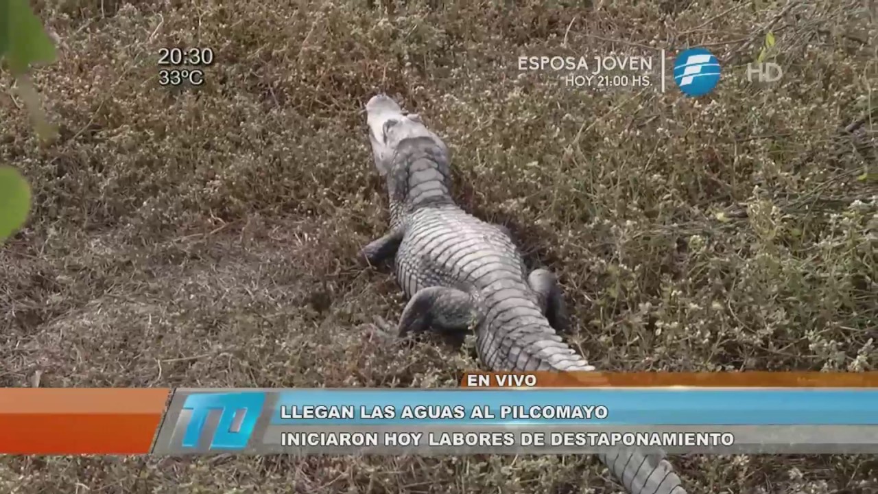 Aguas del Pilcomayo ingresaron al lado paraguayo