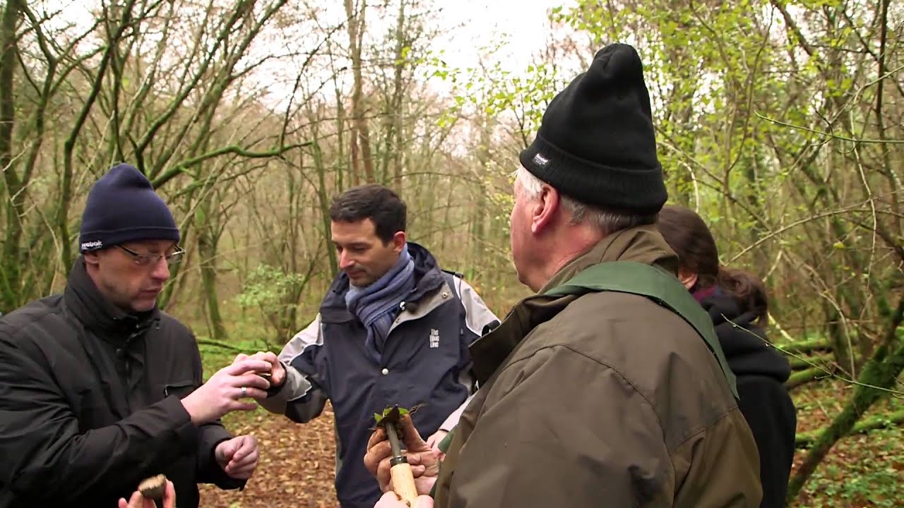 Week-end autour de la Truffe