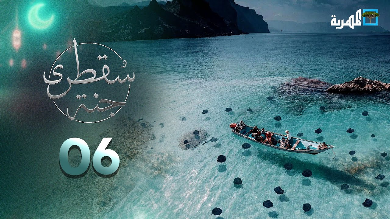 جنة سقطرى | حياة بحرية مليئة بالأسماك النادرة وأكواريوم طبيعي يرى من الساحل