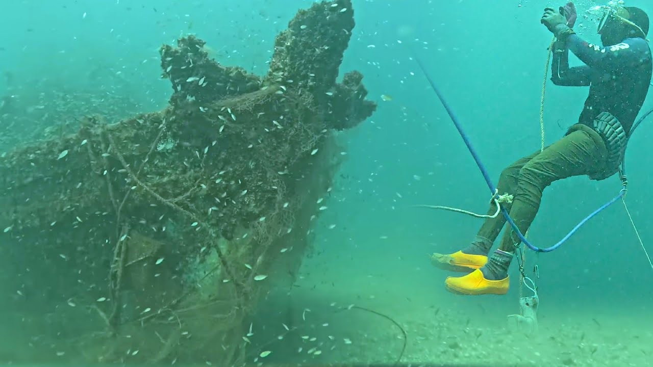 Diving at a sunken ship, we caught many eels, groupers, and squid.