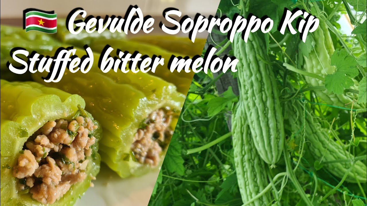 🇸🇷 Gevulde Soproppo kip|Karailie|filled bitter melon with minced chicken|EN subtitle|
