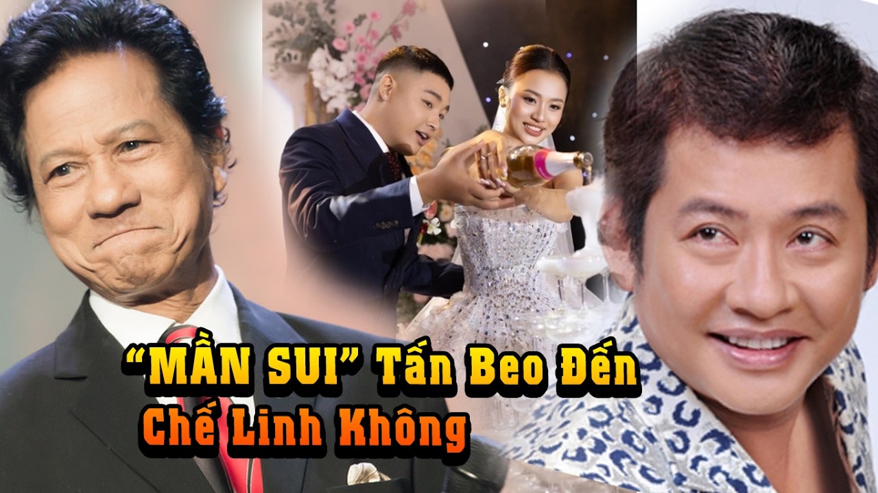Mần Sui: Một Đến, Một Không – Vì Sao Tấn Beo Có Mặt Còn Chế Linh Vắng?