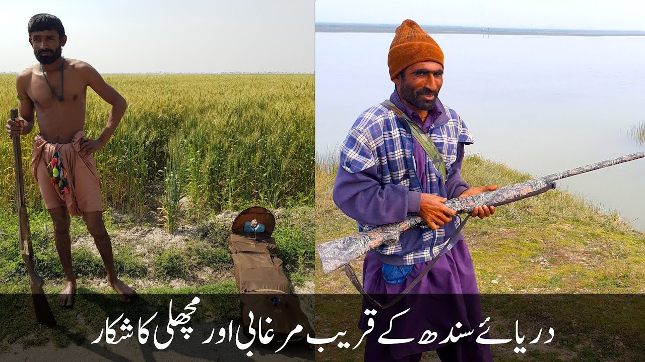 Village life | Fish & Duck Hunting | Trip to Guddo