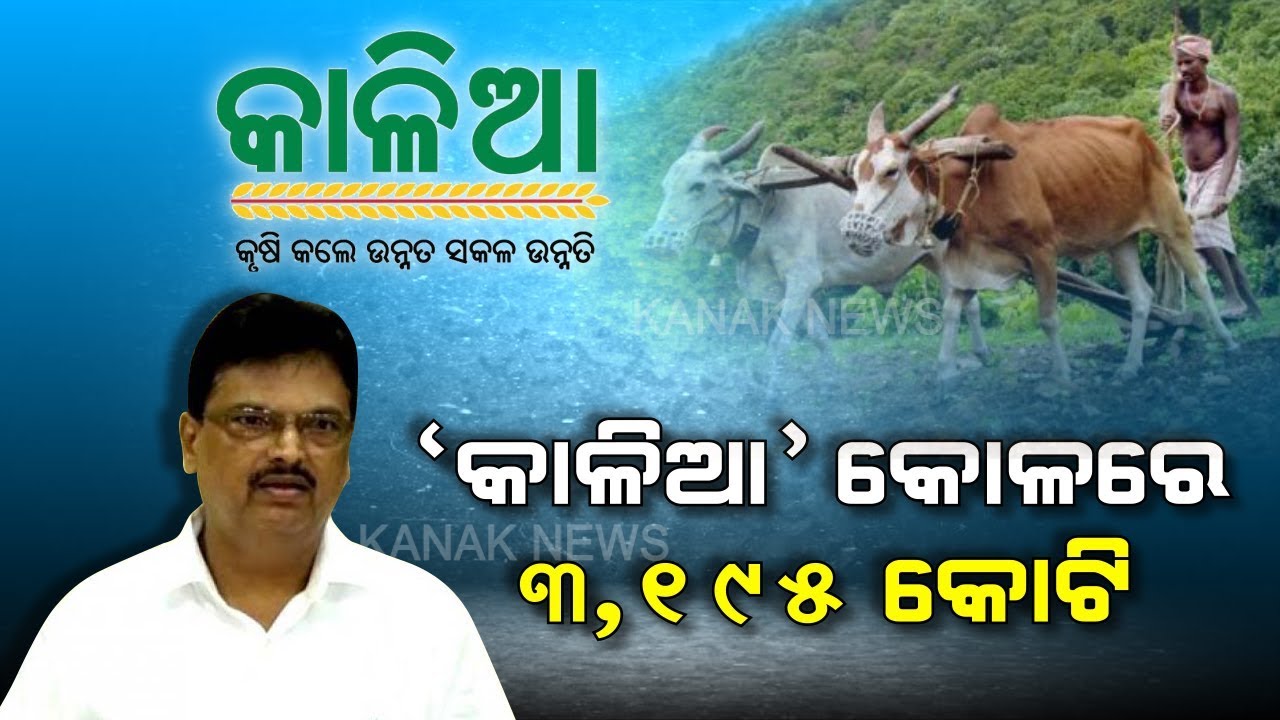 Odisha Budget 2020: Farmers Are Given Emphasis, Rs 3195 Crore Proposed For Kalia Yojana