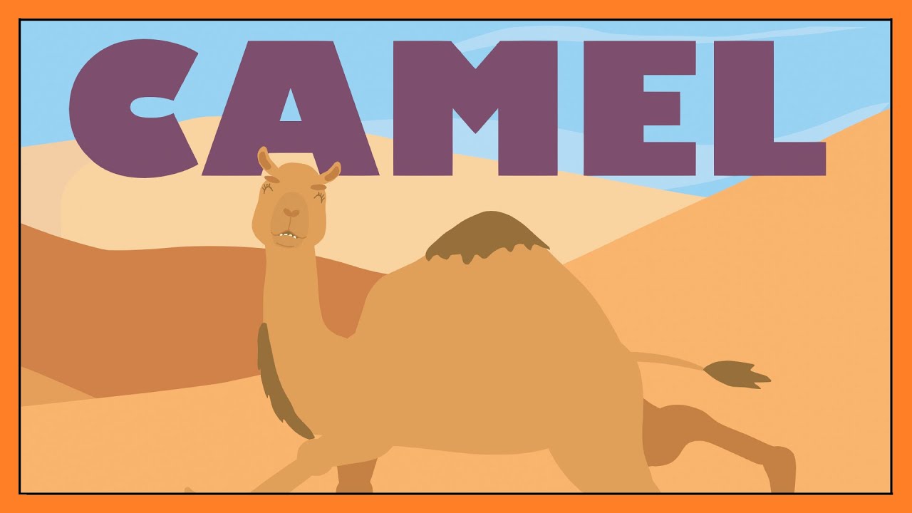 Camel Song 🐪 - Extraordinary Dromedary Fun Animal Song for Kids │ Smiley Rhymes