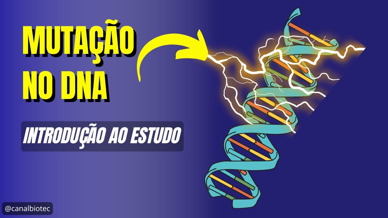 Introdução ao estudo das Mutações do DNA | Genética Humana e Médica