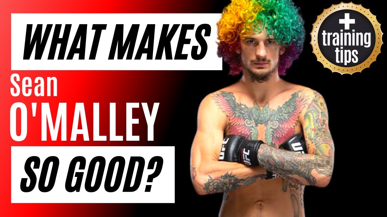 5 Things That Make Sean O'Malley So Good w/ Tips To Improve