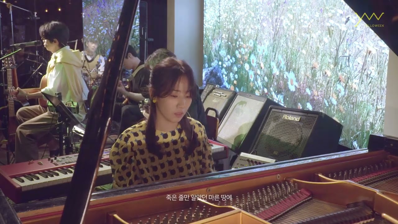 [옐로위크] 개나리(Forsythia) Full ver.