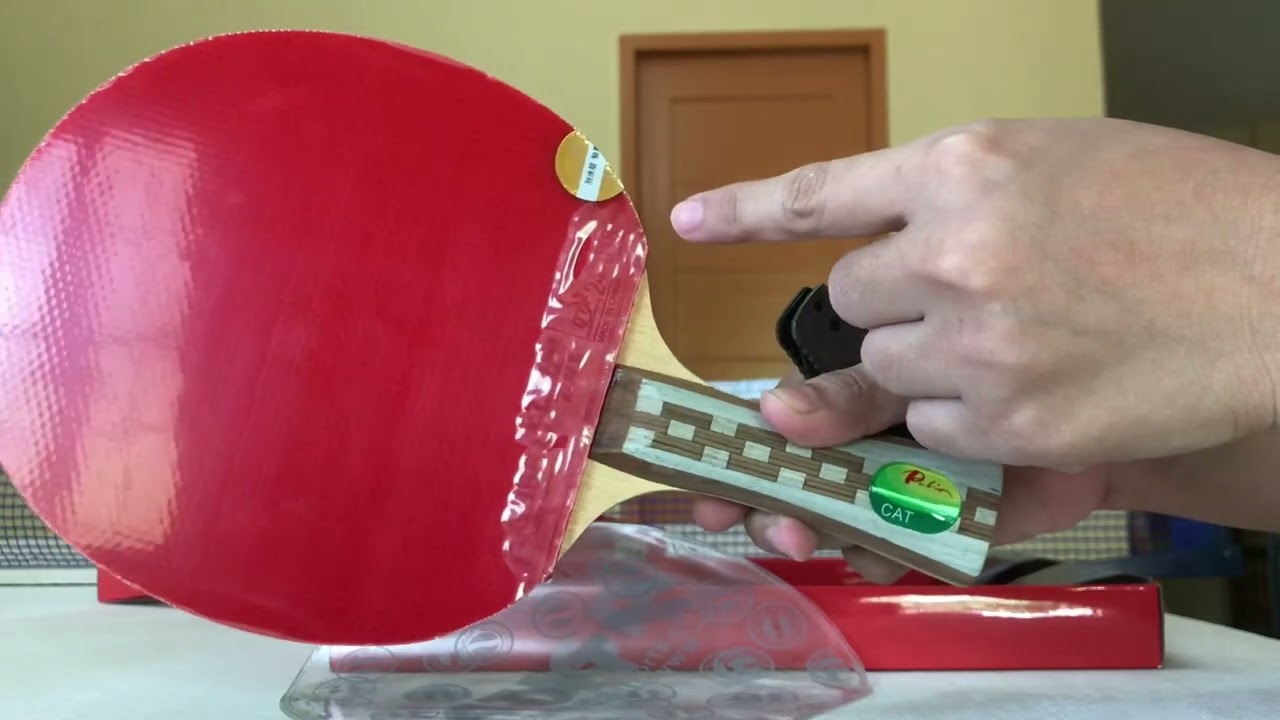 Unboxing Chinese Pingpong's Palio CAT Paddle with DHS G888 Rubber