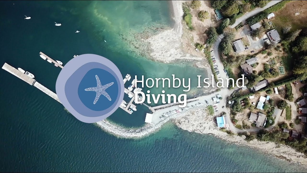 Hornby Island Diving, British Columbia, Canada - scuba diving lodge