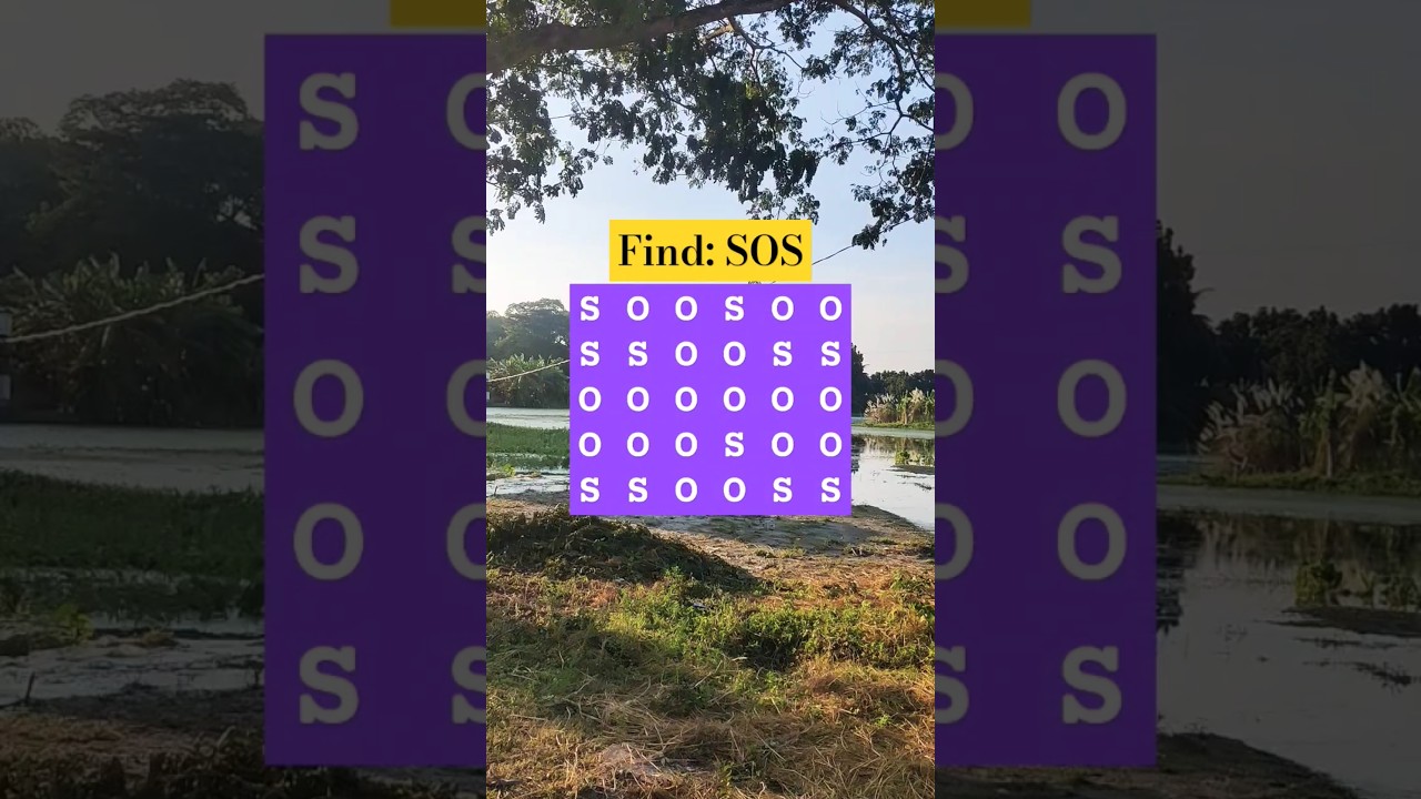Observation Visual Test: 5 Seconds For You To Spot 