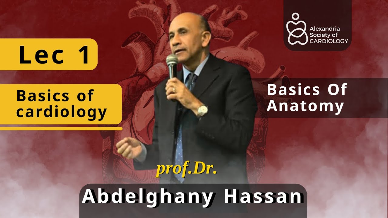 Lec 1 | Cardiac Anatomy by Prof.Dr Abdelghany  | Basics of Cardiology