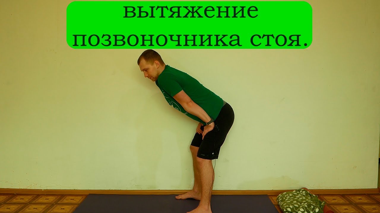 Йога для начинающих. Вытяжение позвоночника стоя.