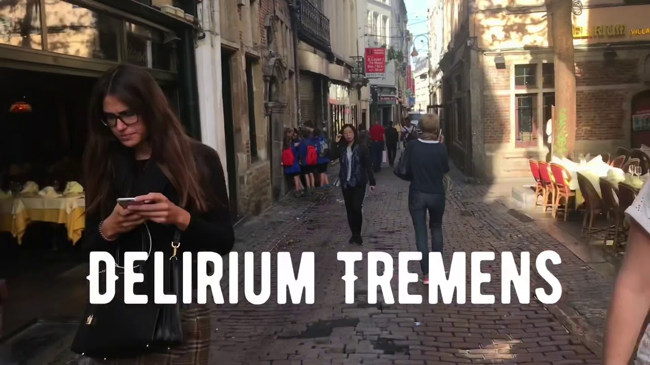 Delirium caf&eacute; - знаменитый паб в  Брюсселе.