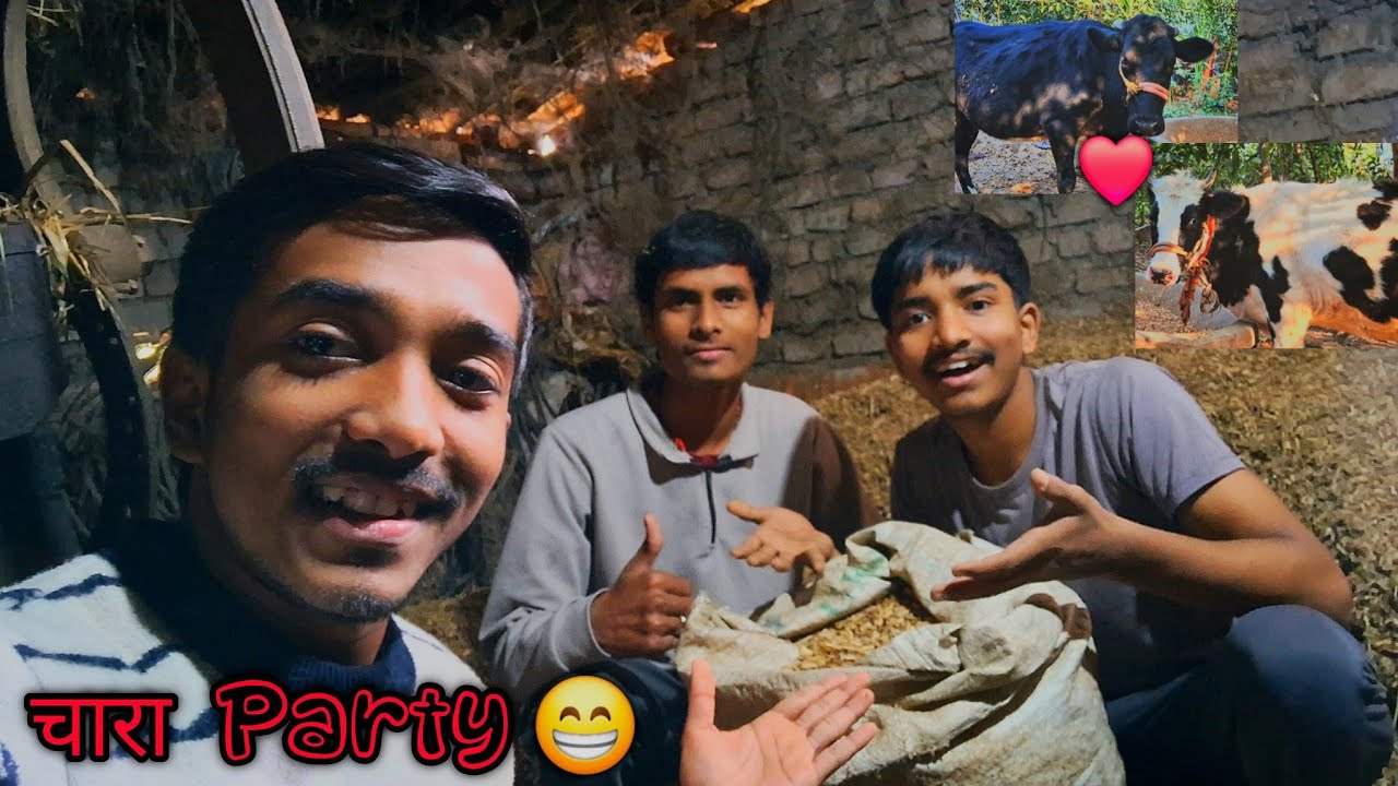 Lunch & Chara(चारा) Party With Gayis (Cow) 😝😋 || Mehnati Ladka 👏 | Talented Boy 👦 