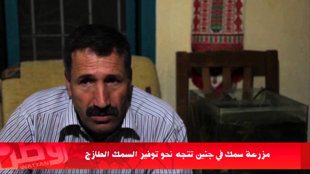 خاص لـ 'وطن': بالفيديو... مزرعة سمك في جنين تتجه نحو توفير السمك الطازج